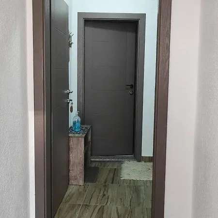 Casa Mular *